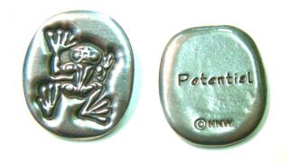 Pocket Spirit - Ribit (POTENTIAL) - by Corey W. Moraes, Tsimshian